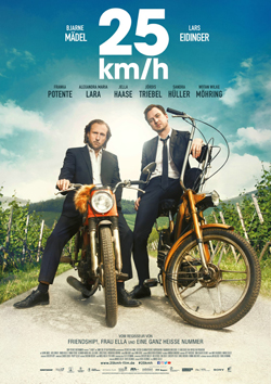 25kmh 250